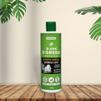 Activated charcoal dishwash liquid 500ml by B-GRN BeGreen Wash — SLS-free, sulphate-free, made in Chennai